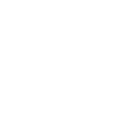 logo_sabn_reverse logo_sabn_reverse